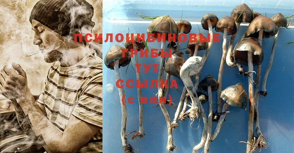 мяу мяу мука Снежногорск