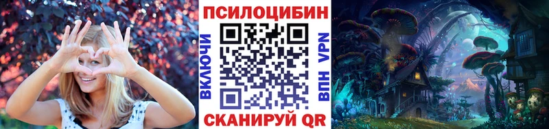 закладка  Сретенск  Галлюциногенные грибы Magic Shrooms 